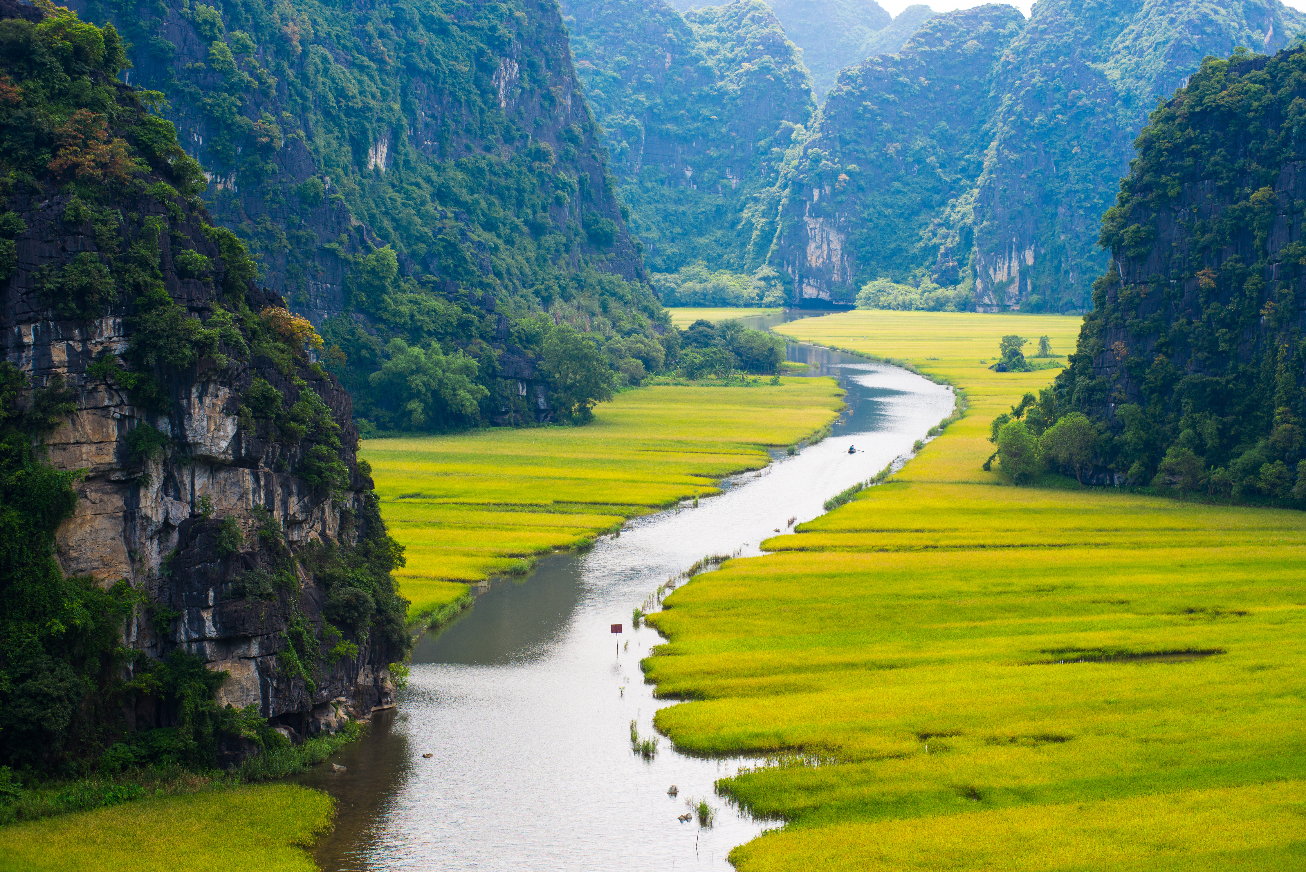 Rice field and river in NinhBinh, Vietnam